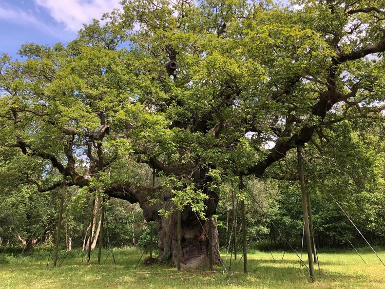 Photography by https://www.deviantart.com/scarlettxx