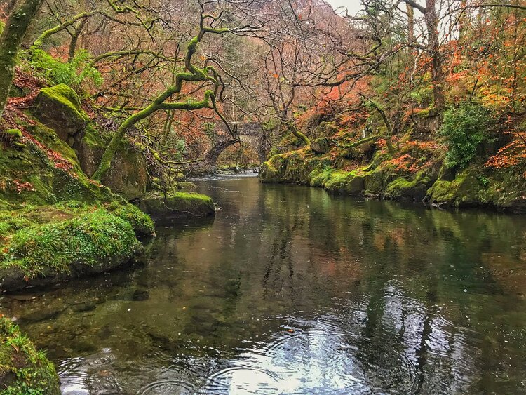 Photography source by https://twitter.com/SarahWoods66