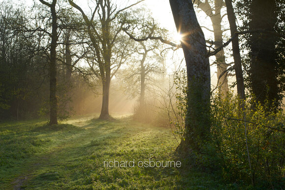 Photography by Richard Osbourne Photography